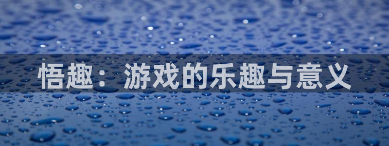 悟趣：游戏的乐趣与意义