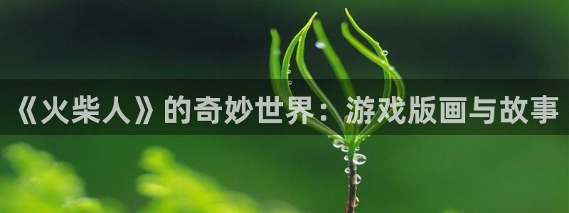 《火柴人》的奇妙世界：游戏版画与故事