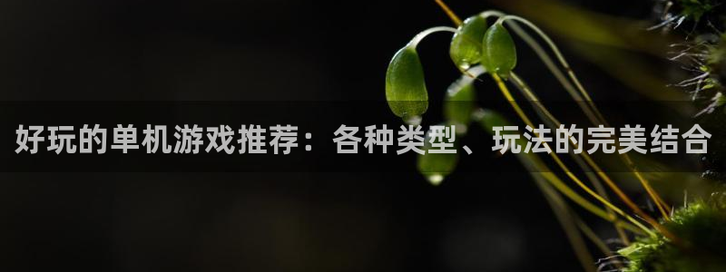 南宫加拿大网站可靠吗