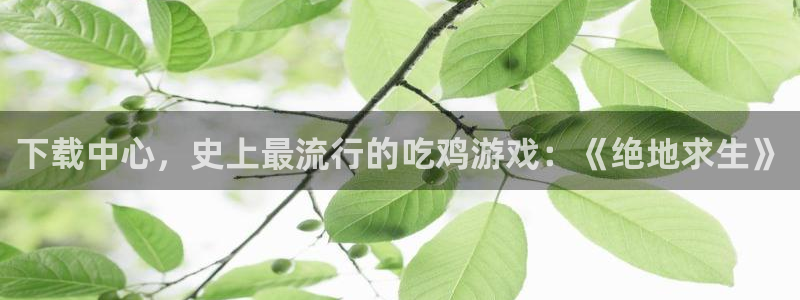 南宫集团app下载