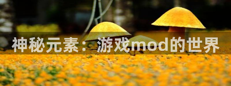 南宫娱乐老板背景介绍