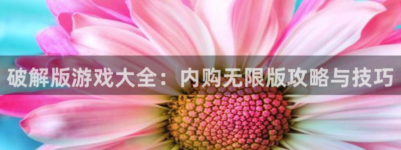南宫cos资料