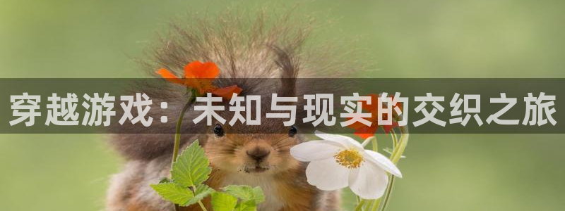 南宫娱乐是干什么的：穿越游戏：未知与现实的交织之旅