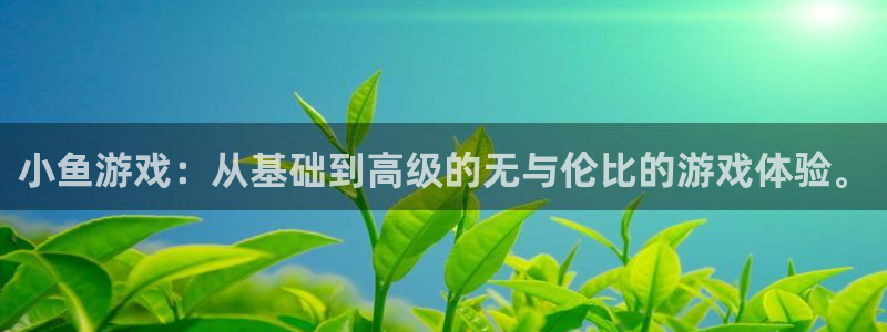 网上的南宫什么意思：小鱼游戏：从基础到高级的无与伦比的游戏体