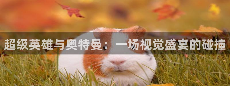 南宫娱乐官网版入口下载安卓