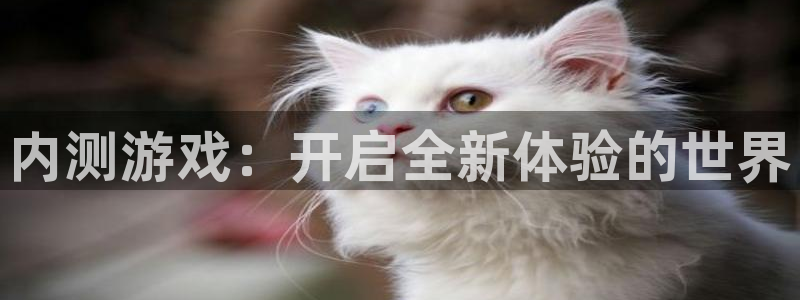 南宫娱乐提款是正规平台吗