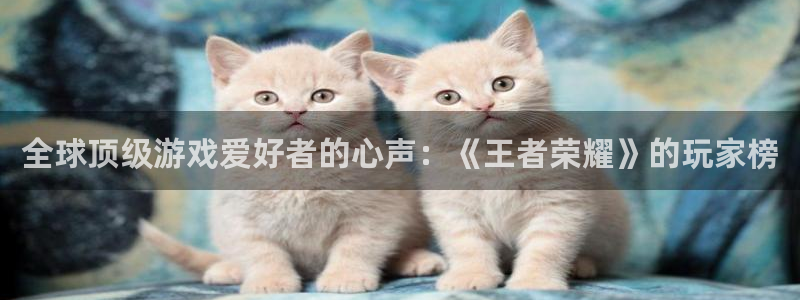 南宫集团app下载：全球顶级游戏爱好者的心声：《王者荣耀》的