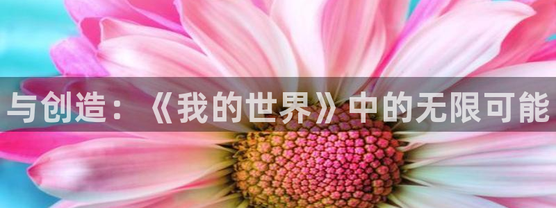 南宫加拿大网站可靠吗：与创造：《我的世界》中的无限可能